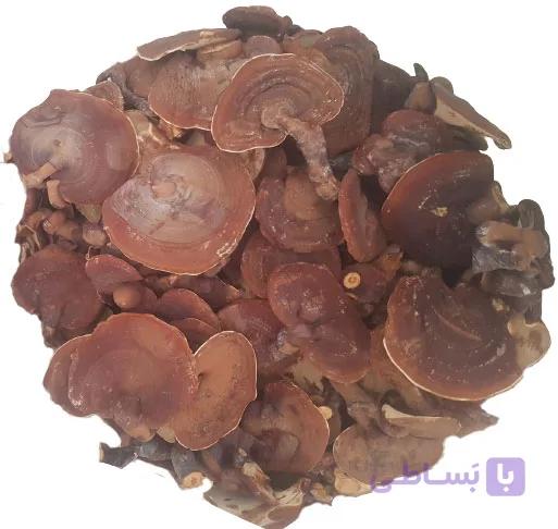 قارچ گانودرما (فله نیم کیلویی) قرمز