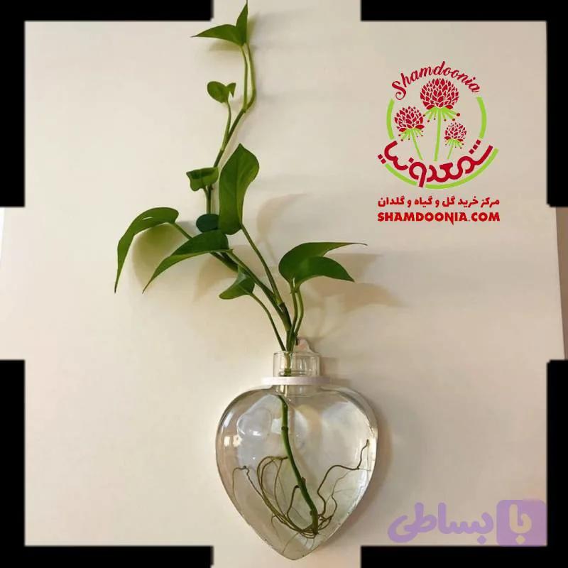گلدان دیواری شیشه ای قلبی