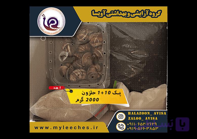 پک ۱۰ عددی حلزون طبی اسکارگو + 🐌 وسایل کامل | درمان پوست + درآمدزایی — تصویر 1