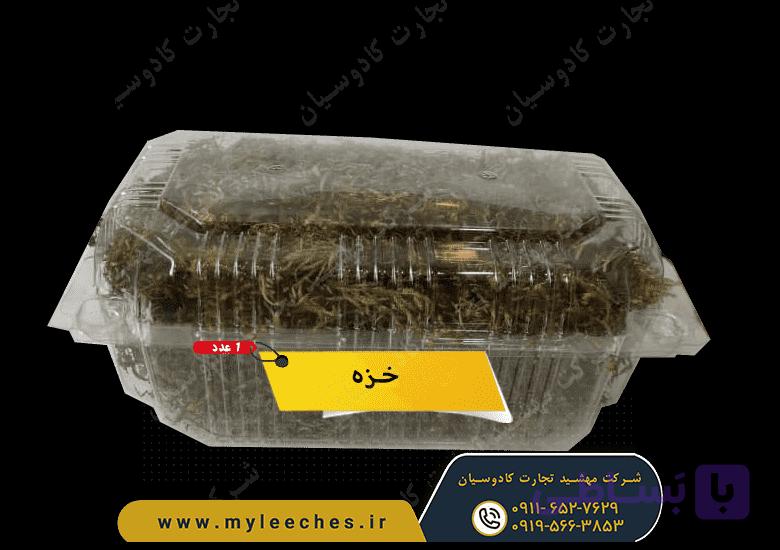 خزه برای نگهداری حلزون — تصویر 1