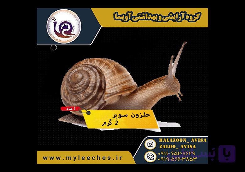 تکی حلزون اسکارگو سوپر — تصویر 1