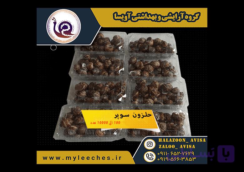 حلزون اسکارگو 100 عدد — تصویر 1