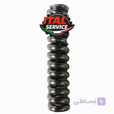 فنر شیر برتو