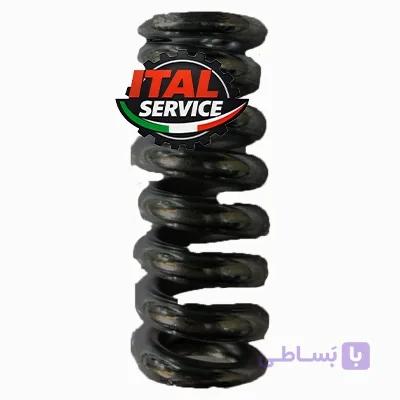 فنر شیر اینتر