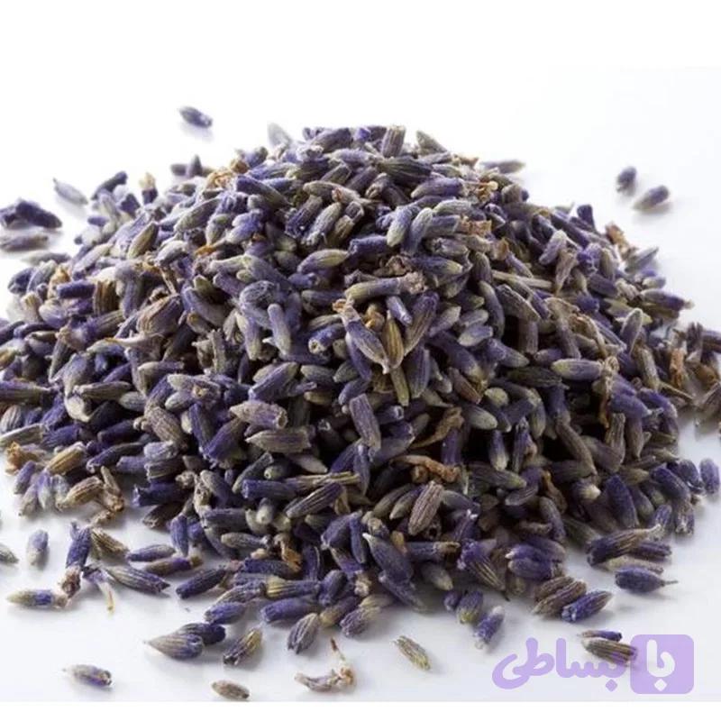 اسطوخودوس ایرانی