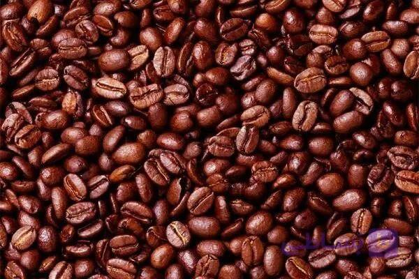 قهوه عربیکا اوگاندا — تصویر 1