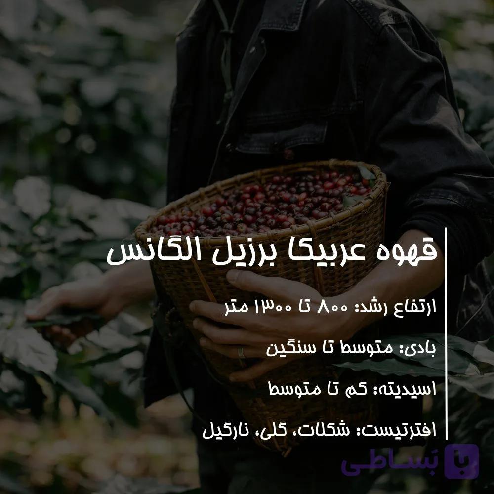 قهوه عربیکا برزیل الگانس - گرید پرمیوم