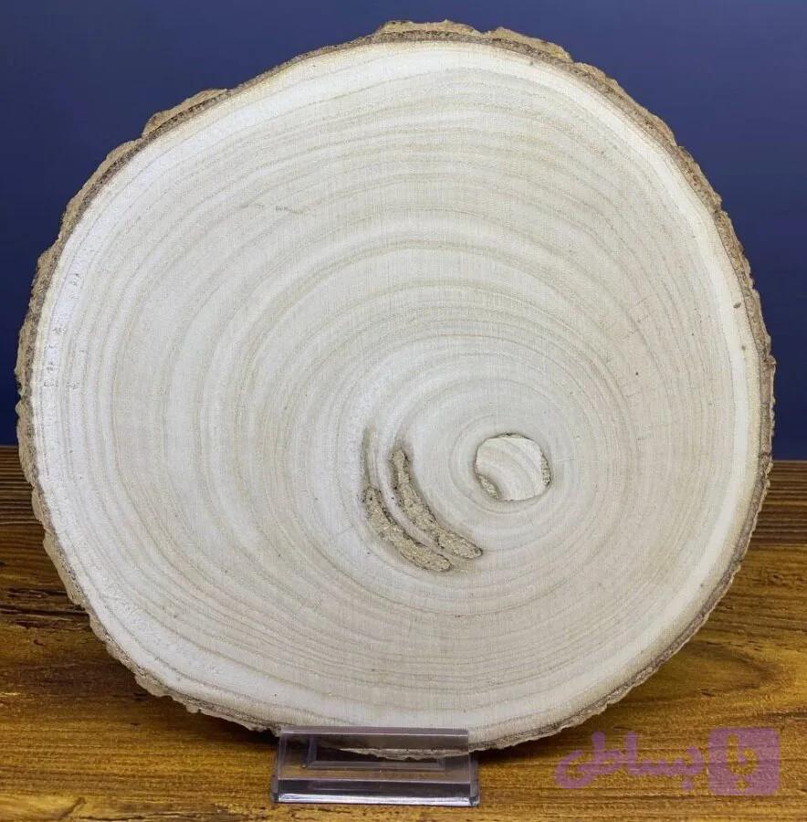 چوب اسلب طبیعی کد 327 — تصویر 1