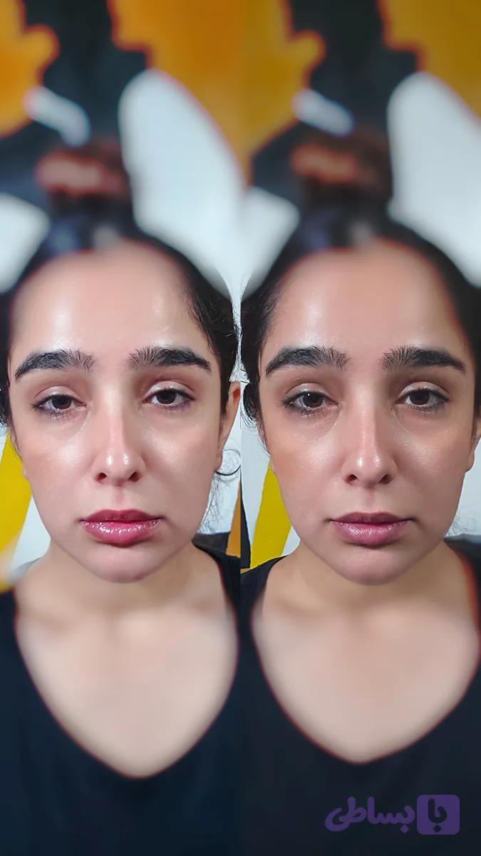 بالم لب اوردینری