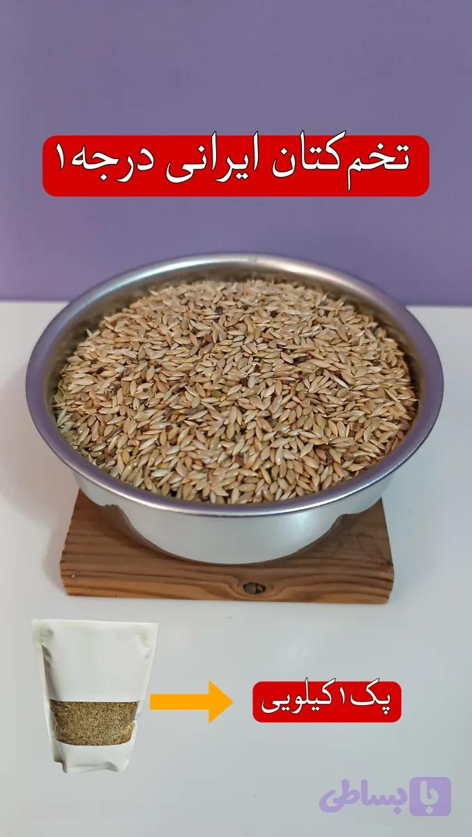 تخم کتان طوطیسانان