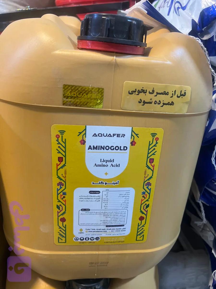 زرگرین طلایی (امینو گلد )