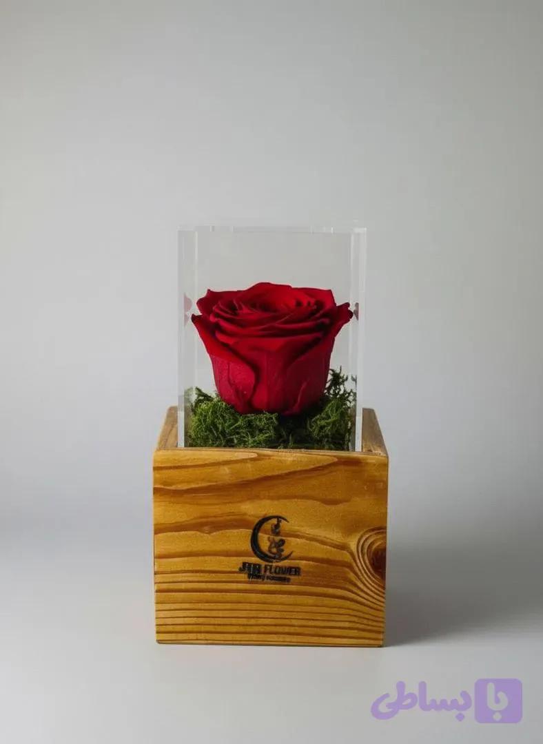 گل رز جاودان مدل (سرخ)