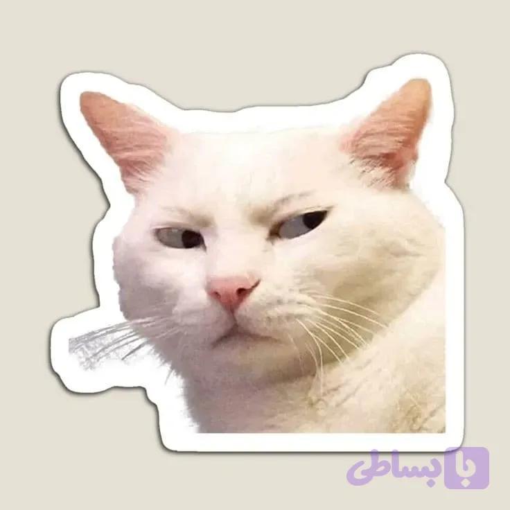 استیکر cat meme 01