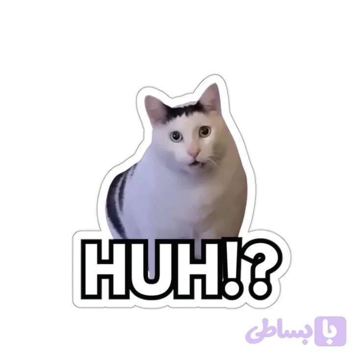 استیکر میم گربه هو _ huh!
