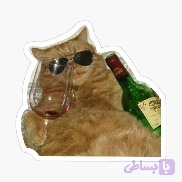 استیکر cat meme 04