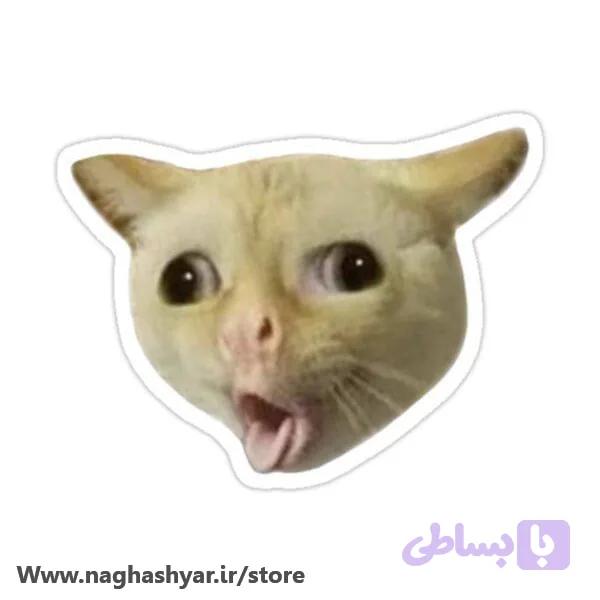 استیکر میم سم گربه