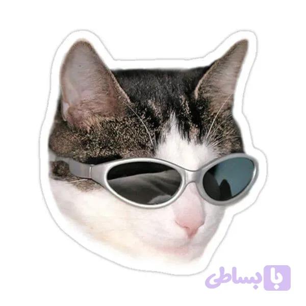 استیکر cat meme02
