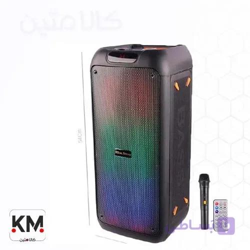 اسپیکر بلوتوثی قابل حمل رویال ساند RS-D31 — تصویر 1
