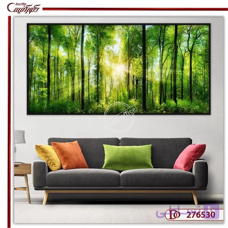 تابلو منظره جنگل سبز با نور خورشید E276530