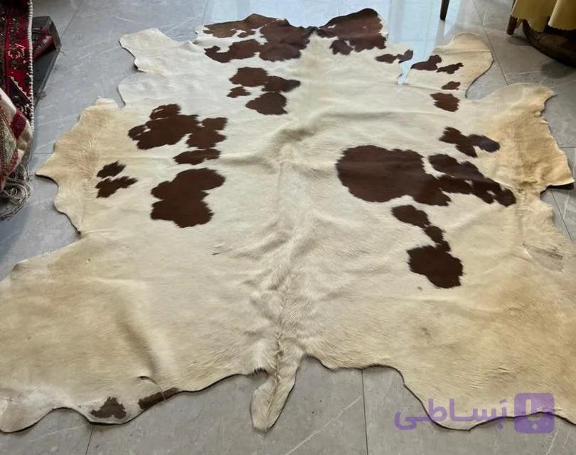 پوست طبیعی گاو گالاری کلاژ 33.5 پا