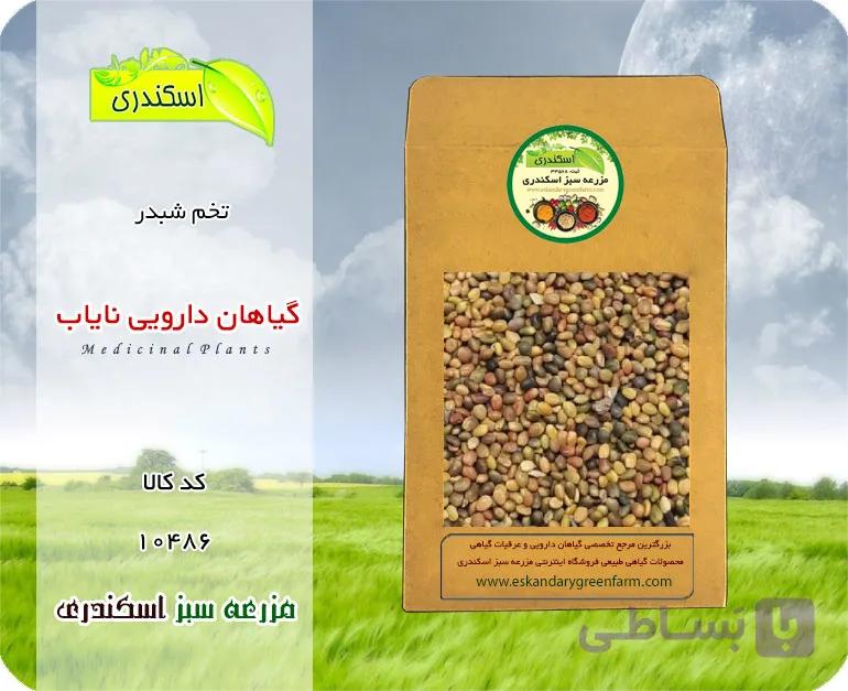 تخم شبدر