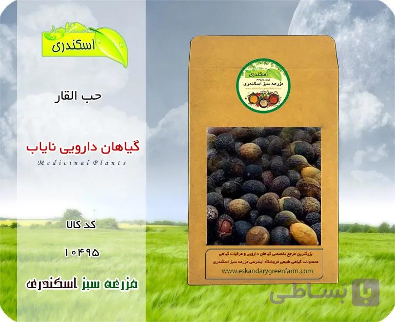 حب السلاطین اصل و نایاب | گیاه دارویی کم‌یاب