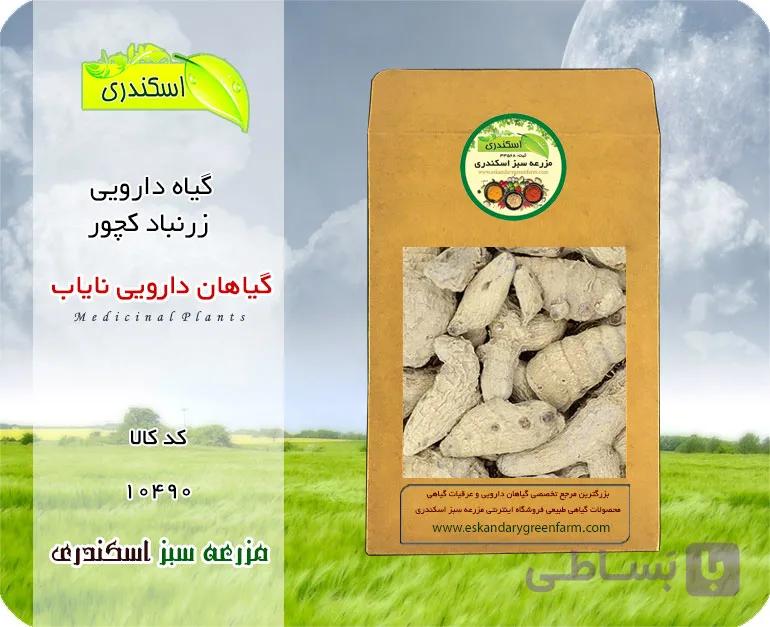 گیاه زرنباد (کچور) اصل نایاب | گیاه دارویی کم‌یاب