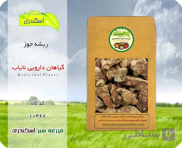 ریشه جوز نایاب (خسرو دار) | گیاه دارویی کم‌یاب