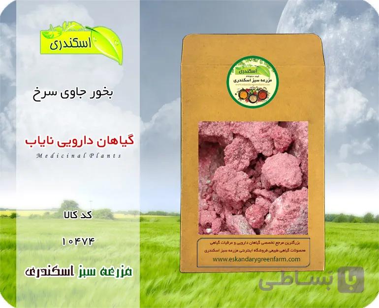 بخور جاوی سرخ اصل نایاب | گیاه دارویی کم‌یاب