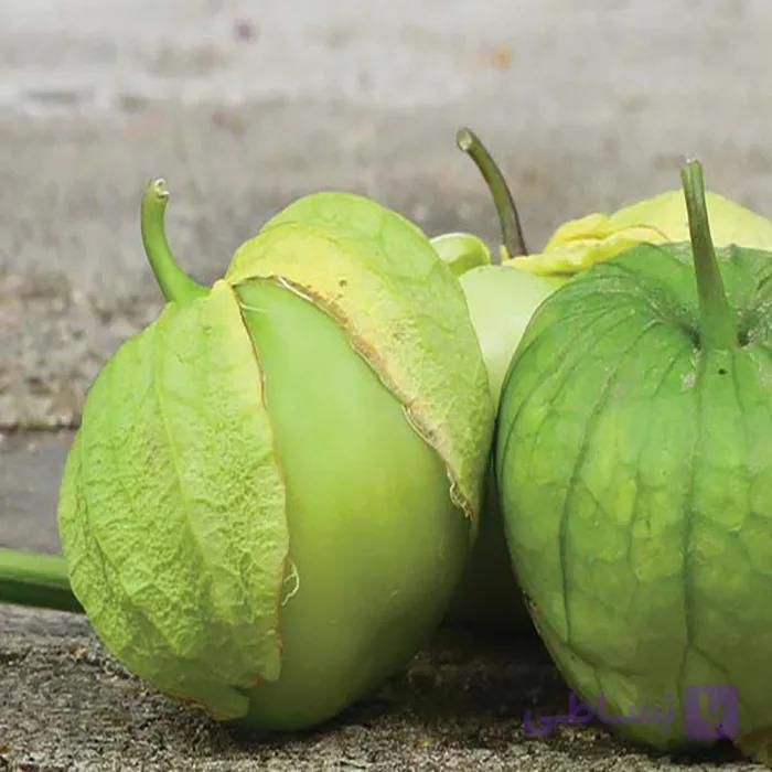 بذر توماتیلو (فیسالیس) سبز بسته ۲۵ عددی — تصویر 1