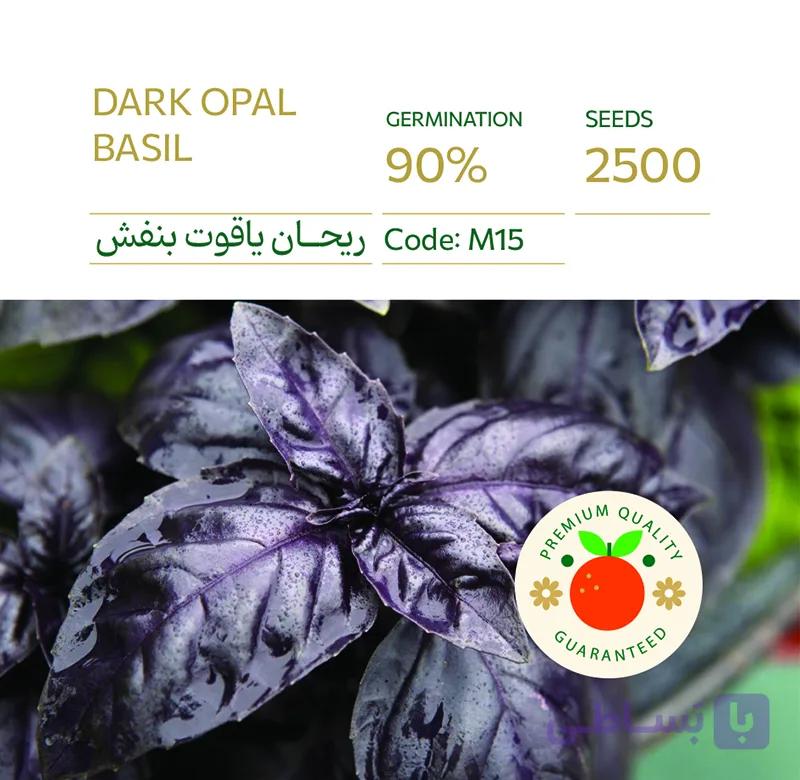بذر ریحان ایتالیایی بنفش یاقوت تیره پاکت اورجینال 2500 عددی راشا⭐ — تصویر 1