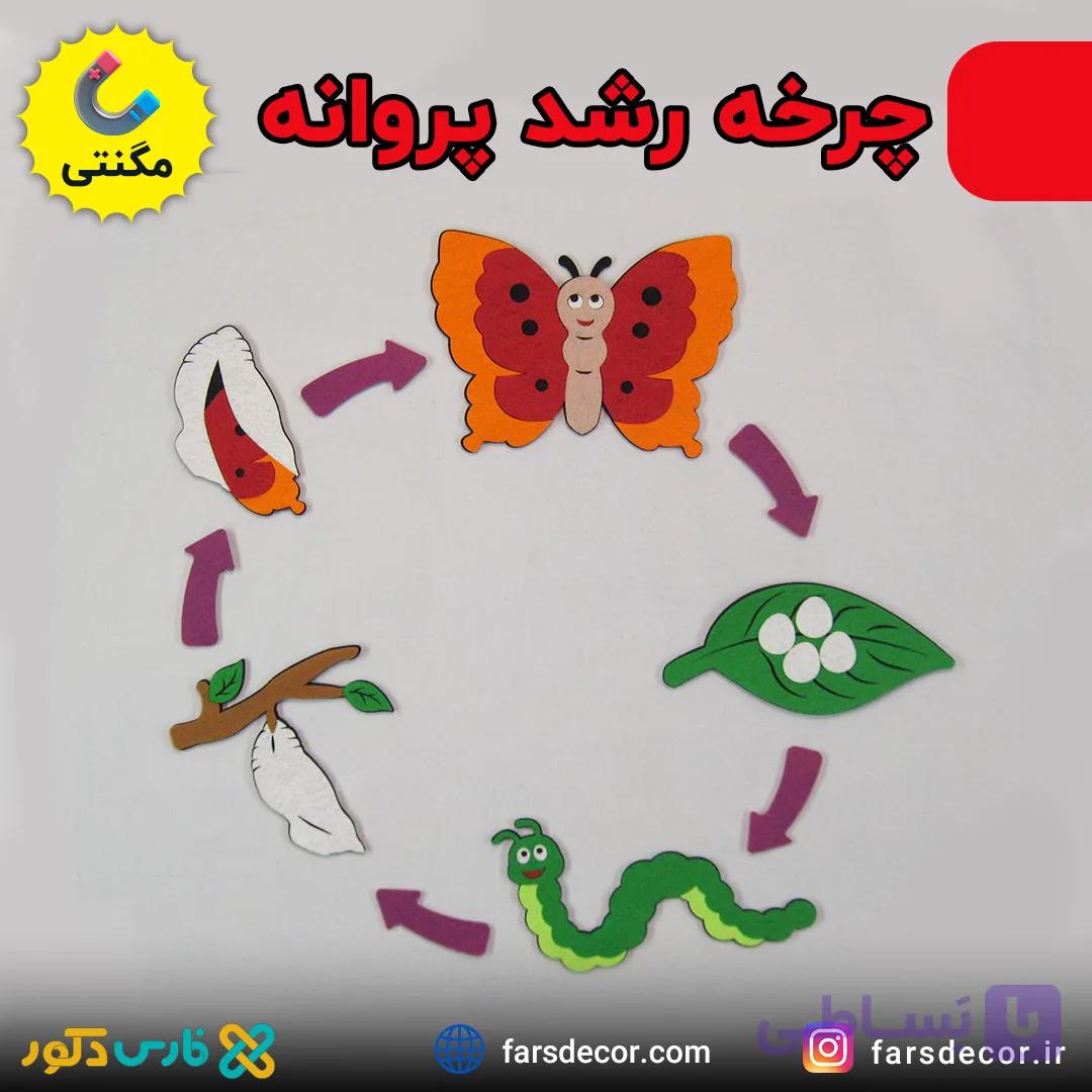 چرخه زندگی پروانه — تصویر 1