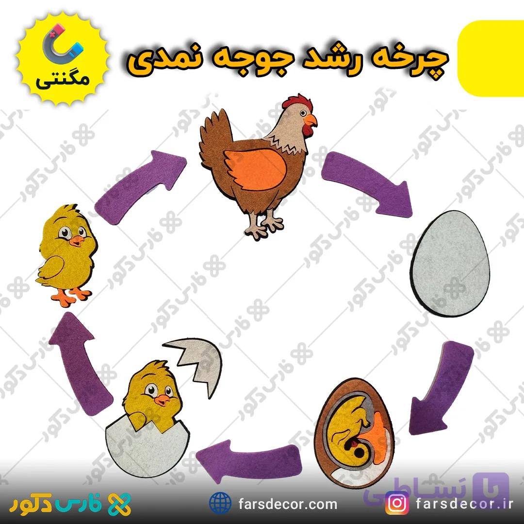 چرخه زندگی جوجه نمدی مگنتی — تصویر 1