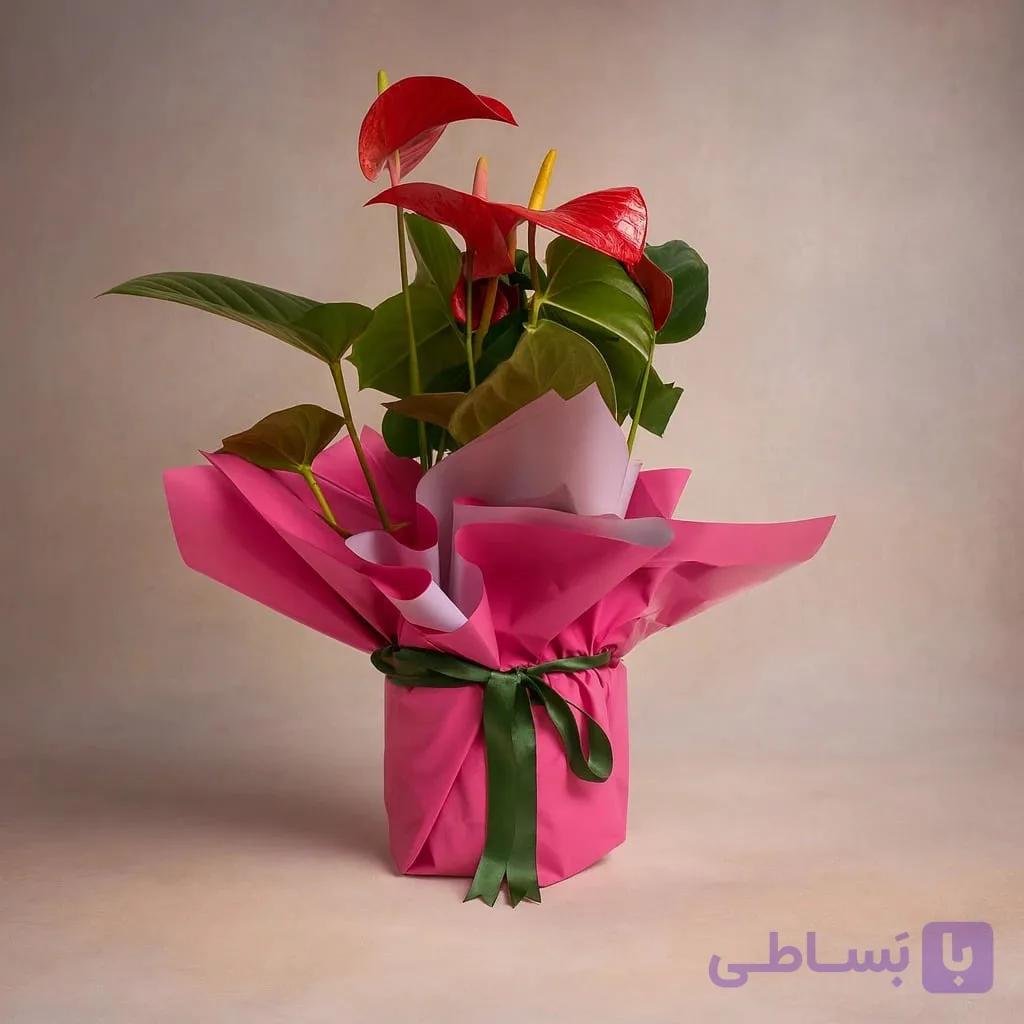 آنتوریوم در یک دسته گل صورتی-یاسی و گلدان روبانی سبز کد143 (ترکیه) — تصویر 1