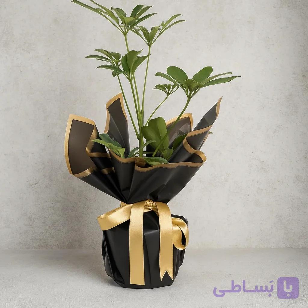 دسته گل تک برگی شفلرا مشکی، صفحه ۱۲ کد133 (ترکیه) — تصویر 1