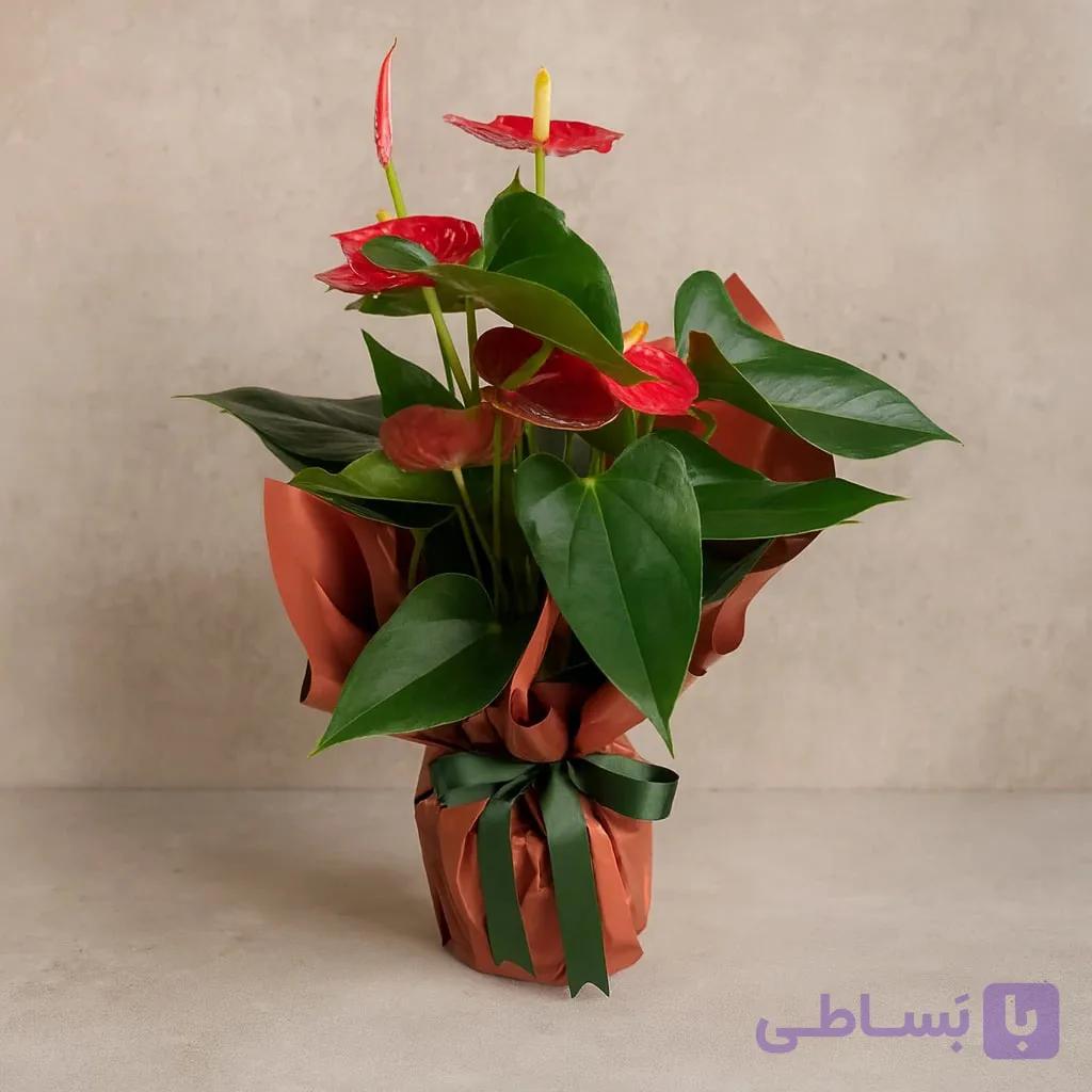 گلدان کاغذی دسته گل آنتوریوم به رنگ ماهی سالمون تیره کد129 (ترکیه) — تصویر 1