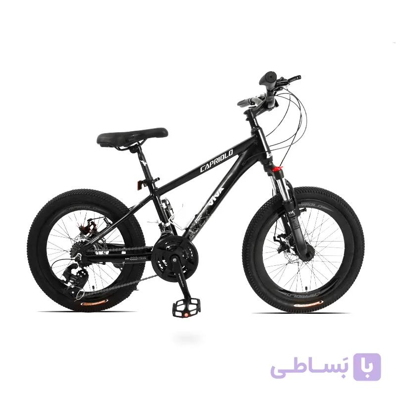 دوچرخه کاپریولو مدل ویوا سایز 20 (Capriolo Viva) — تصویر 1