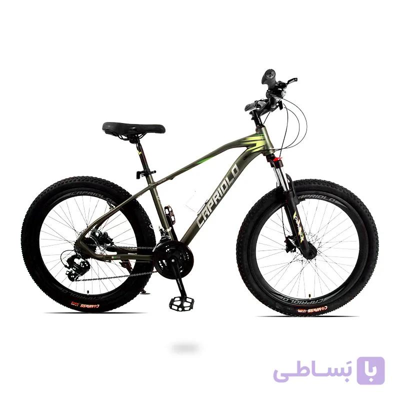 دوچرخه کاپریولو مدل فاندر سایز 24 (Capriolo Founder) — تصویر 1