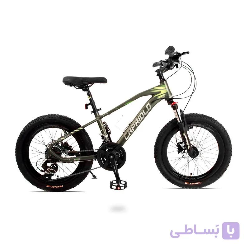 دوچرخه کاپریولو مدل فاندر سایز 20 (Capriolo Founder) — تصویر 1