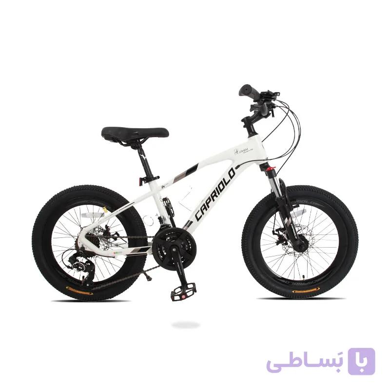 دوچرخه کاپریولو مدل آرمانی سایز 20 (Capriolo Armani) — تصویر 1