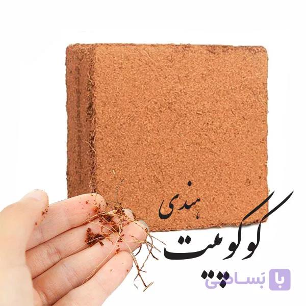 کوکوپیت قالبی هندی