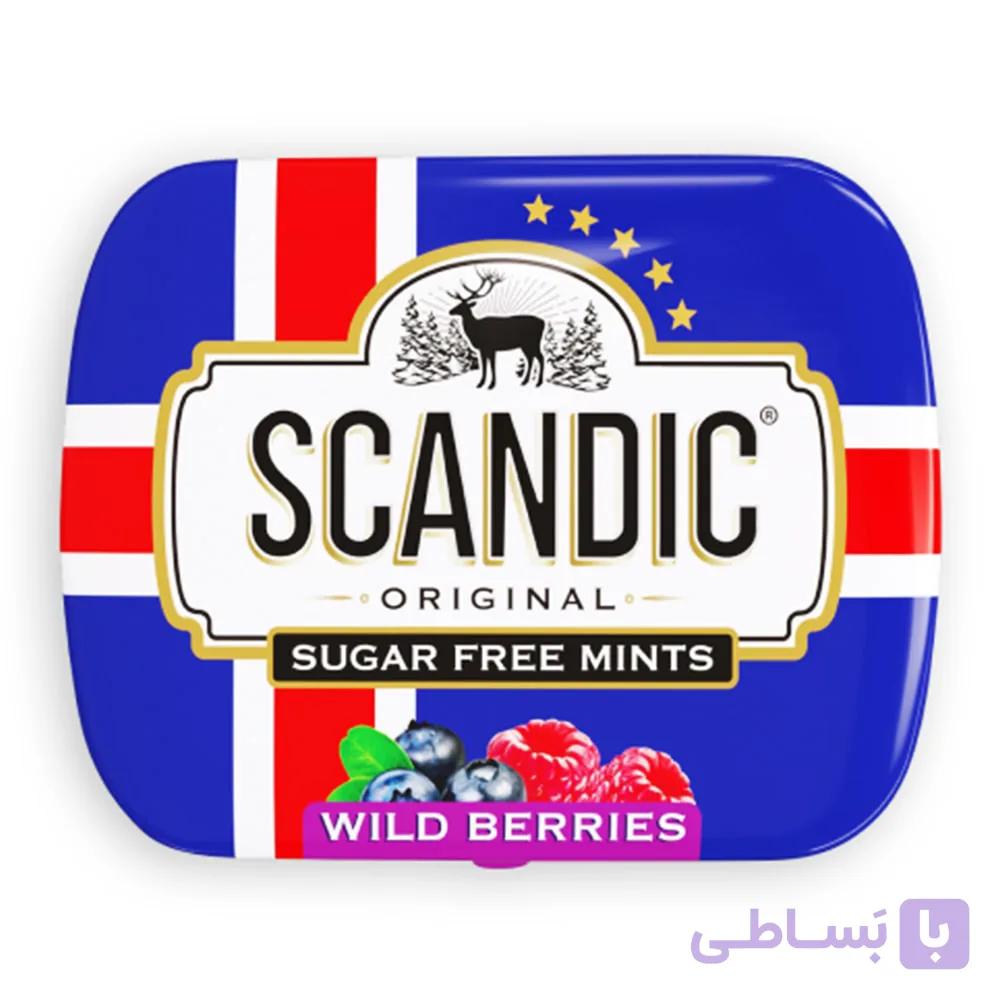 خوش بو کننده دهان اسکاندیک SCANDIC اصل روسیه با طعم توت وحشی وزن 14 گرم