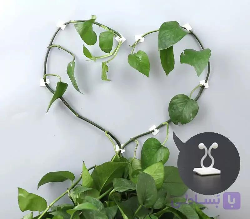 گیره پتوس نگهدارنده شاخه گل و گیاه بسته 20 عددی کد T10 — تصویر 1