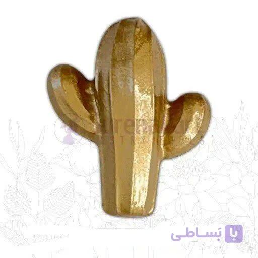 مولد کاکتوس بزرگ