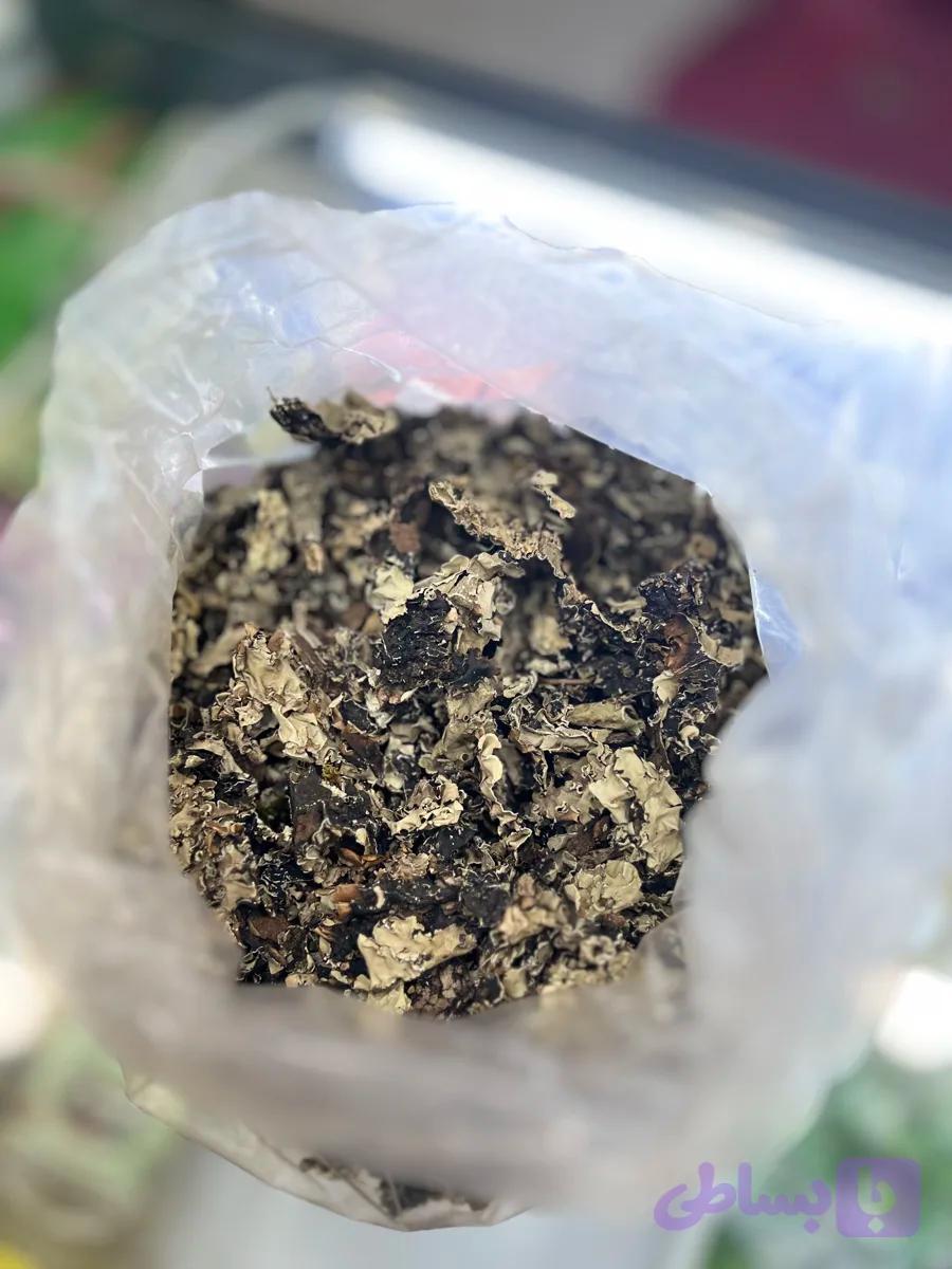 بخور پر