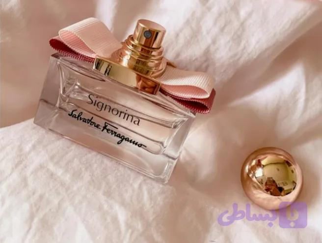 عطر سالوادور _ سیگنورینا