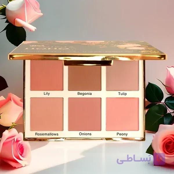 پالت رژ گونه هوهو آرتیستا | Artista HOHO Blush Palette — تصویر 1