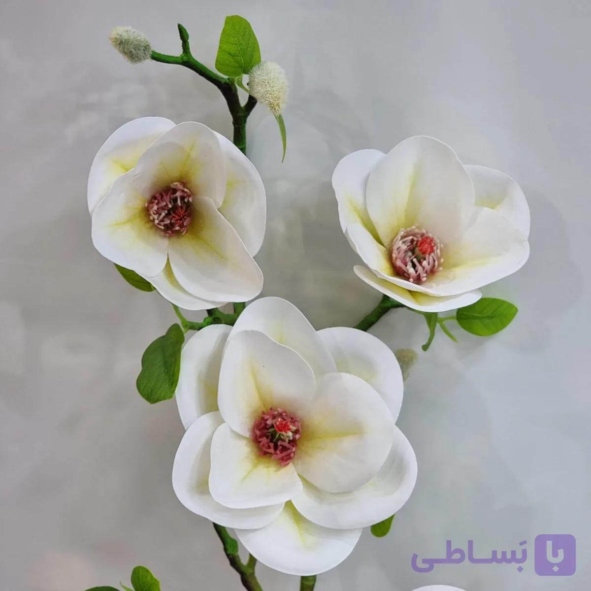 شاخه گل مگنولیا لمسی ۵ شاخه با کیفیت عالی – ارتفاع ۷۰ سانتی‌متر — تصویر 1