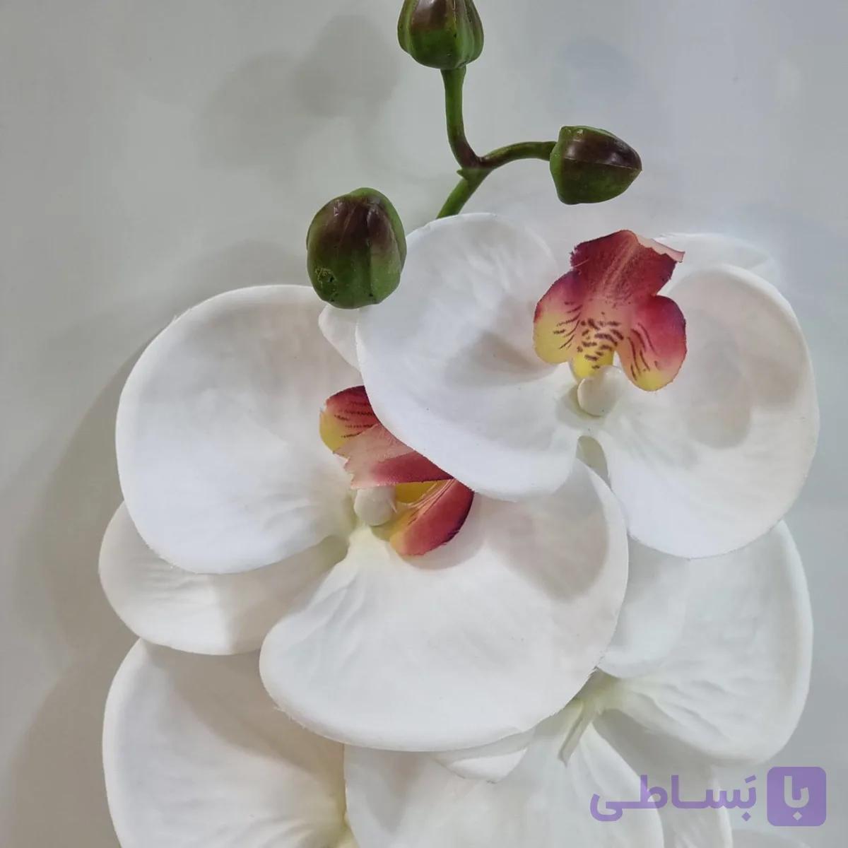 گل ارکیده ۷ شاخه درجه ۱ – تزئین منزل و هدیه لوکس — تصویر 1