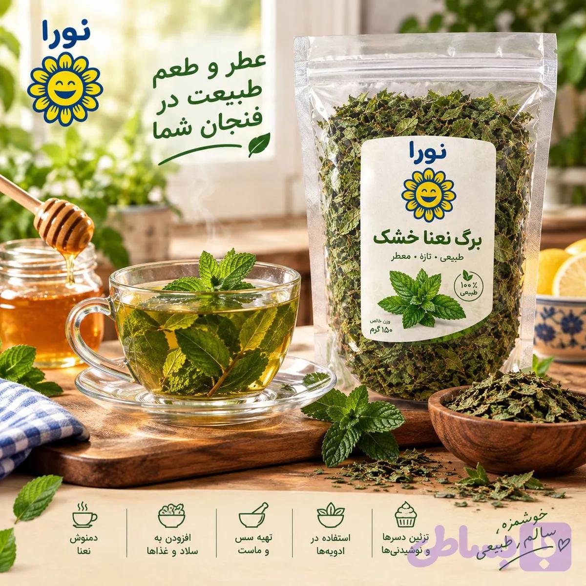 نعنا خشک 100گرمی اعلا نورا فود